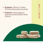 Jarrow Formulas Saccharomyces boulardii + MOS végan, 5 milliards d'UFC – 90 capsules végétales – photo 3