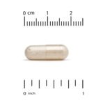 California Gold Nutrition Enzymes digestives avec mélange d'enzymes ProHydrolase® et amylase – 90 capsules vég – photo 3