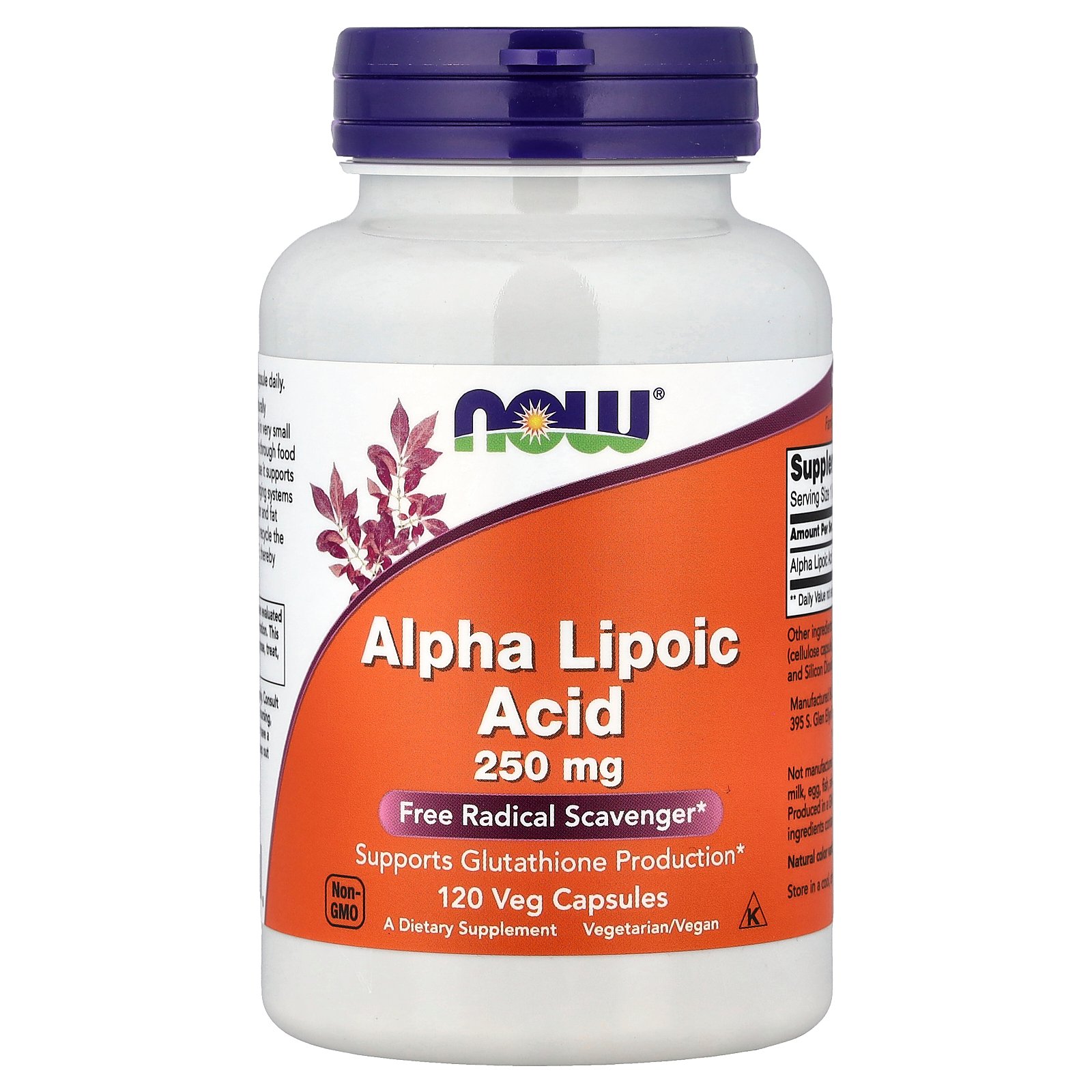 NOW Foods Acide alpha-lipoïque, 250 mg – 120 capsules végétariennes NOW Foods Acide alpha-lipoïque, 250 mg – 120 capsules végétariennes