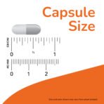 NOW Foods Vitamine B6, 100 mg – 250 capsules végétales – photo 3