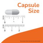 NOW Foods Niacine sans rougeurs, 500 mg – 90 capsules végétariennes – photo 3