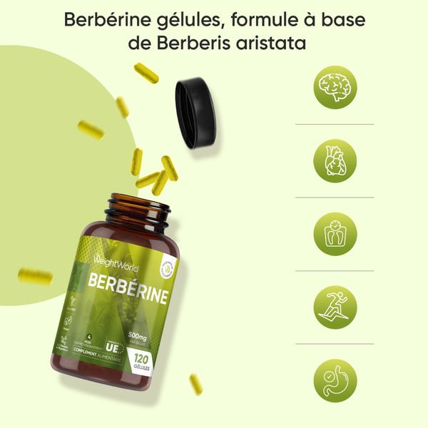 Flacon WeightWorld de berbérine 500 mg présenté avec ses gélules