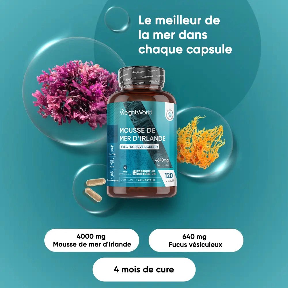 WeightWorld Mousse de Mer d’Irlande – 120 gélules – photo 2