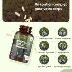 WeightWorld Boswellia Serrata en Gélules – 180 gélules – photo 3