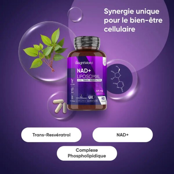 WeightWorld NAD+ & Resvératrol – Formule Liposomale – 90 gélules – photo 2